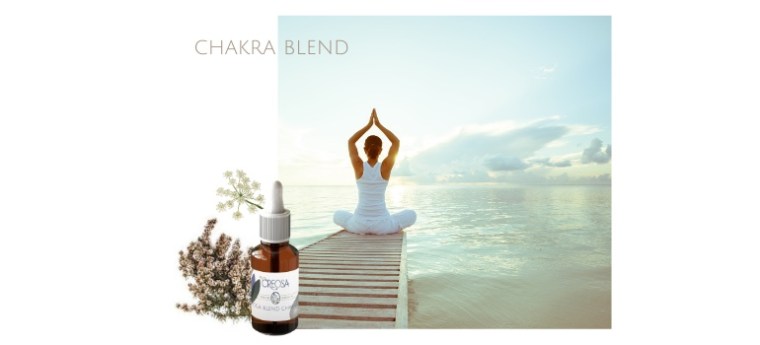 CHAKRA'S VERBONDEN MET ORGANEN, KLEUREN EN GEUREN