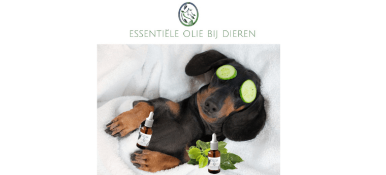 ESSENTIËLE OLIE BIJ DIEREN