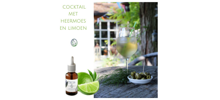 COCKTAIL MET HEERMOES EN LIMOEN