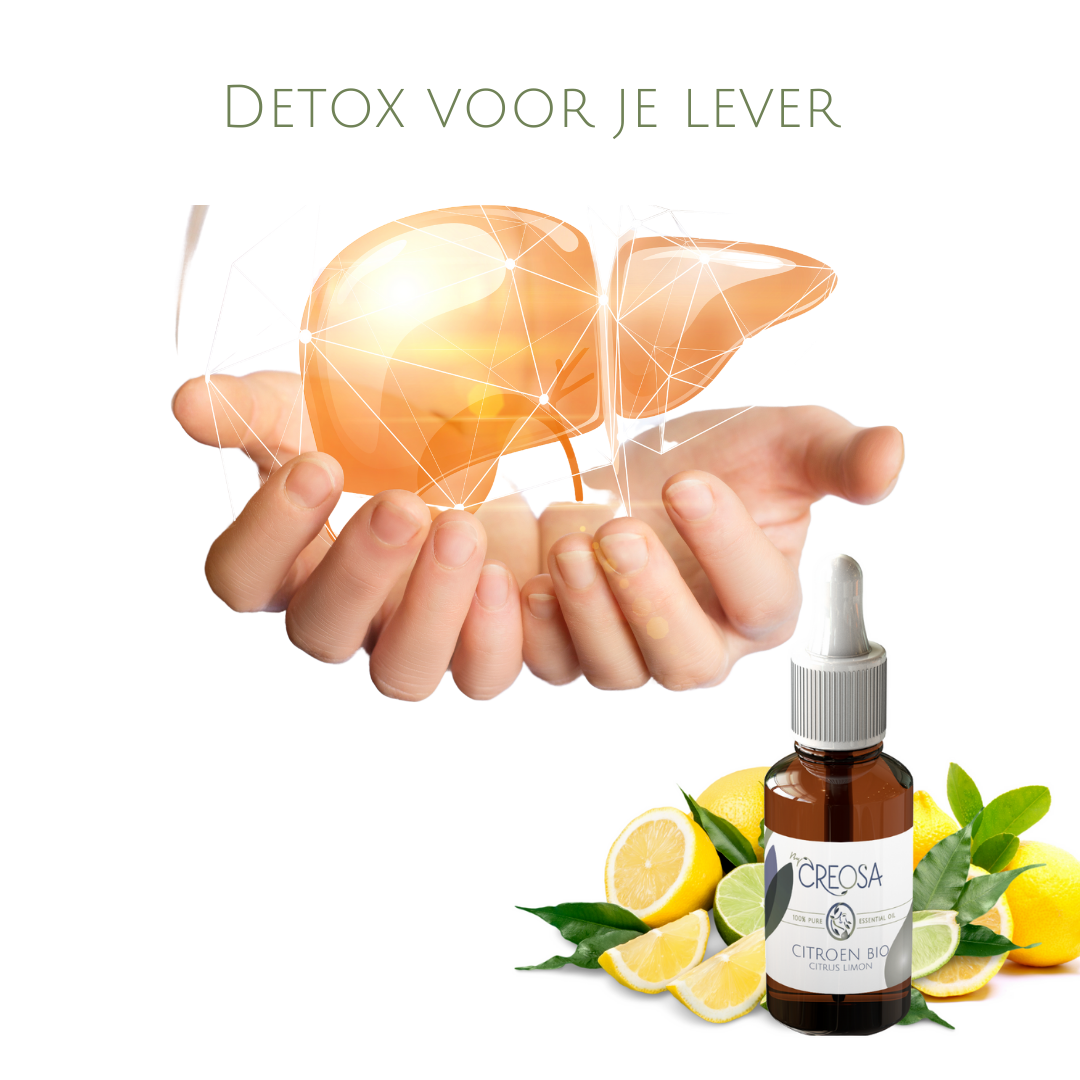 DETOX VOOR JE LEVER