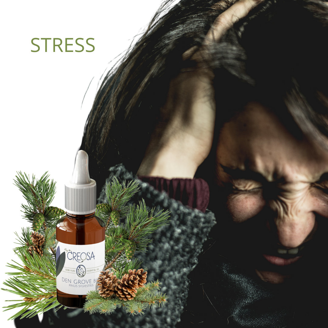 HOE OM TE GAAN MET STRESS? , WAT HELPT ERTEGEN ?