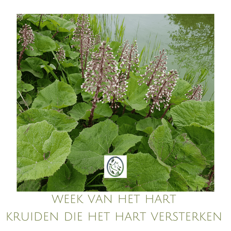 HARTGESPAN OM HET HART TOT RUST TE BRENGEN