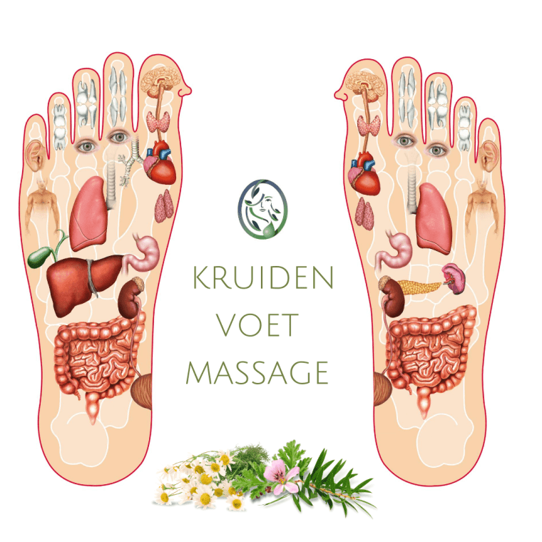 HELP JE ORGANEN MET EEN KRUIDEN VOETMASSAGE
