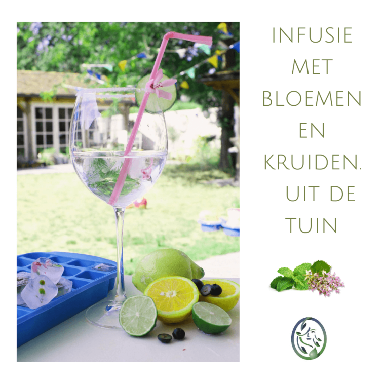 INFUSIE VAN KRUIDENVOOR THEE OF COCKTAIL