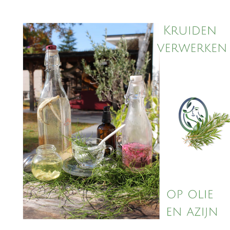 KRUIDEN BEWAREN OP OLIE EN AZIJN