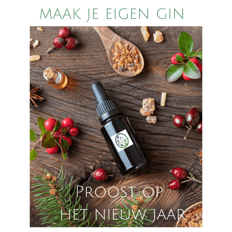 MAAK JE EIGEN GIN