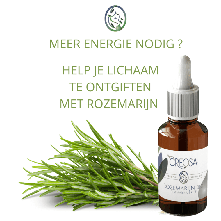 ROZEMARIJN OM TE ONTGIFTEN