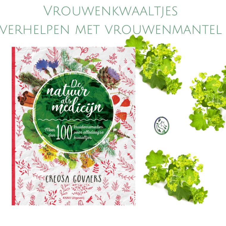 VROUWENMANTEL HET KRUID BIJ VROUWENKWAALTJES