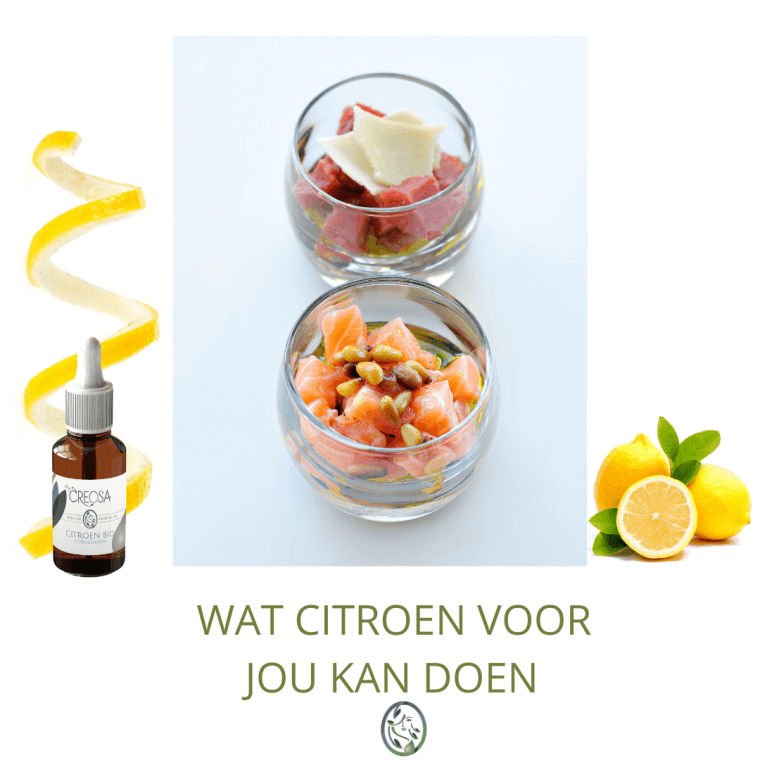 WAT CITROEN VOOR JOU KAN DOEN
