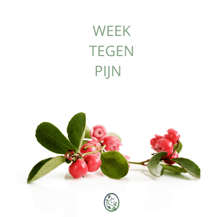 WINTERGREEN TEGEN PIJN