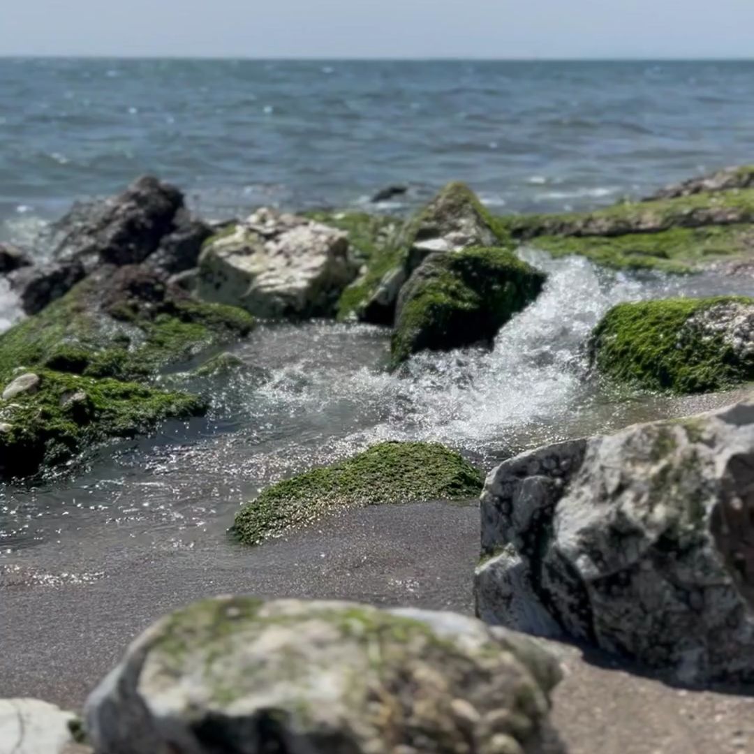 Raak je schaduw en trauma aan met helderheid en zachtheid. Beleef de geboorte van iets dat veel dieper gaat.