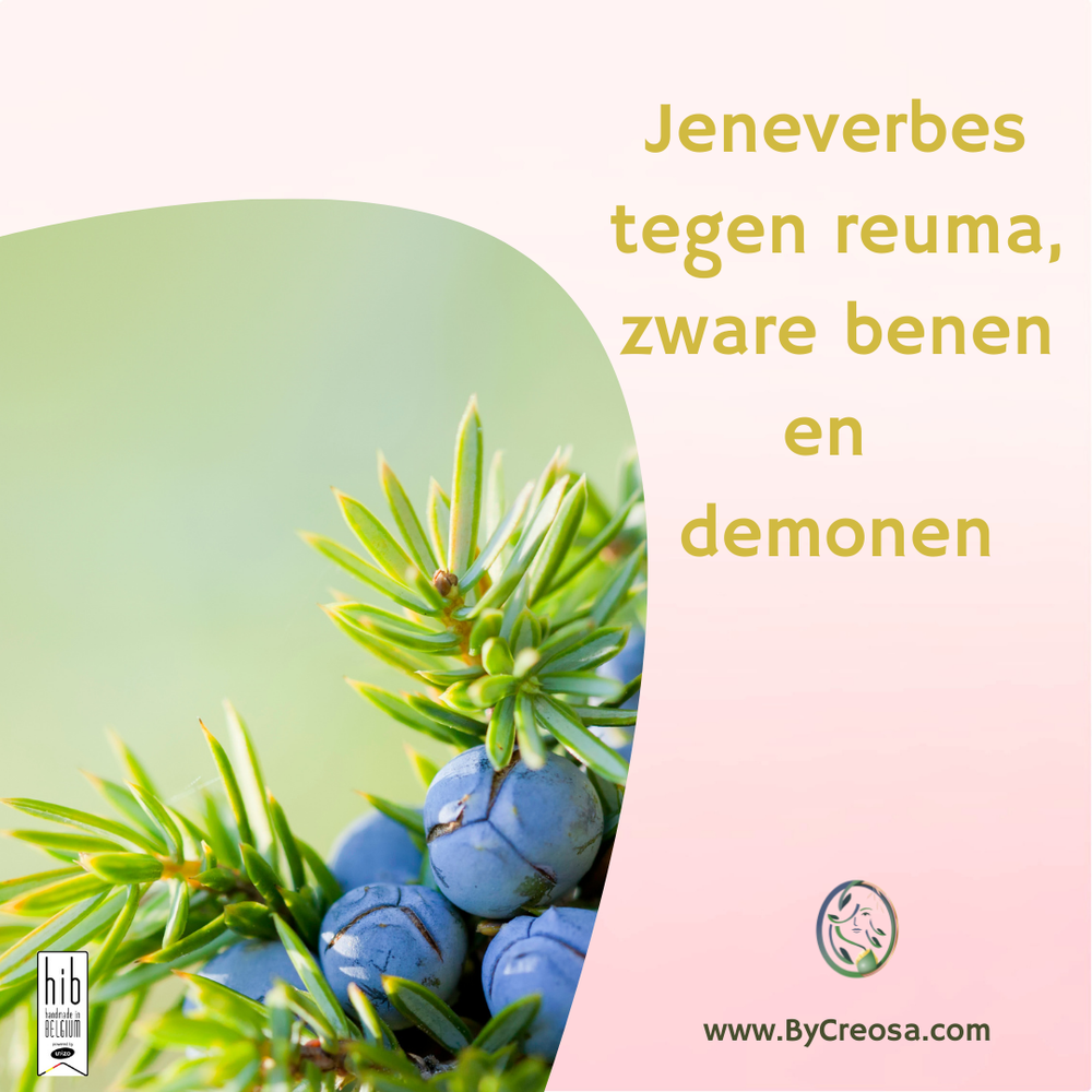 Jeneverbes, tegen zware benen, reuma en demonen