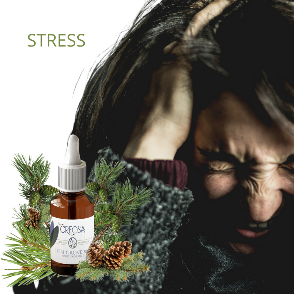 HOE OM TE GAAN MET STRESS? , WAT HELPT ERTEGEN ?