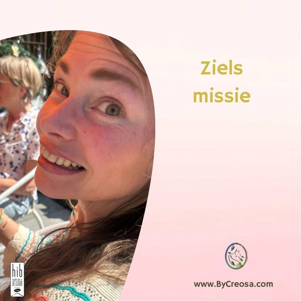 Zielsmissie